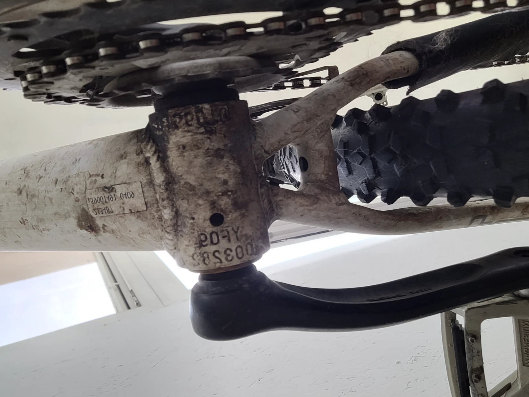 1. Hard-Tail MTBs Focus Black Hills
