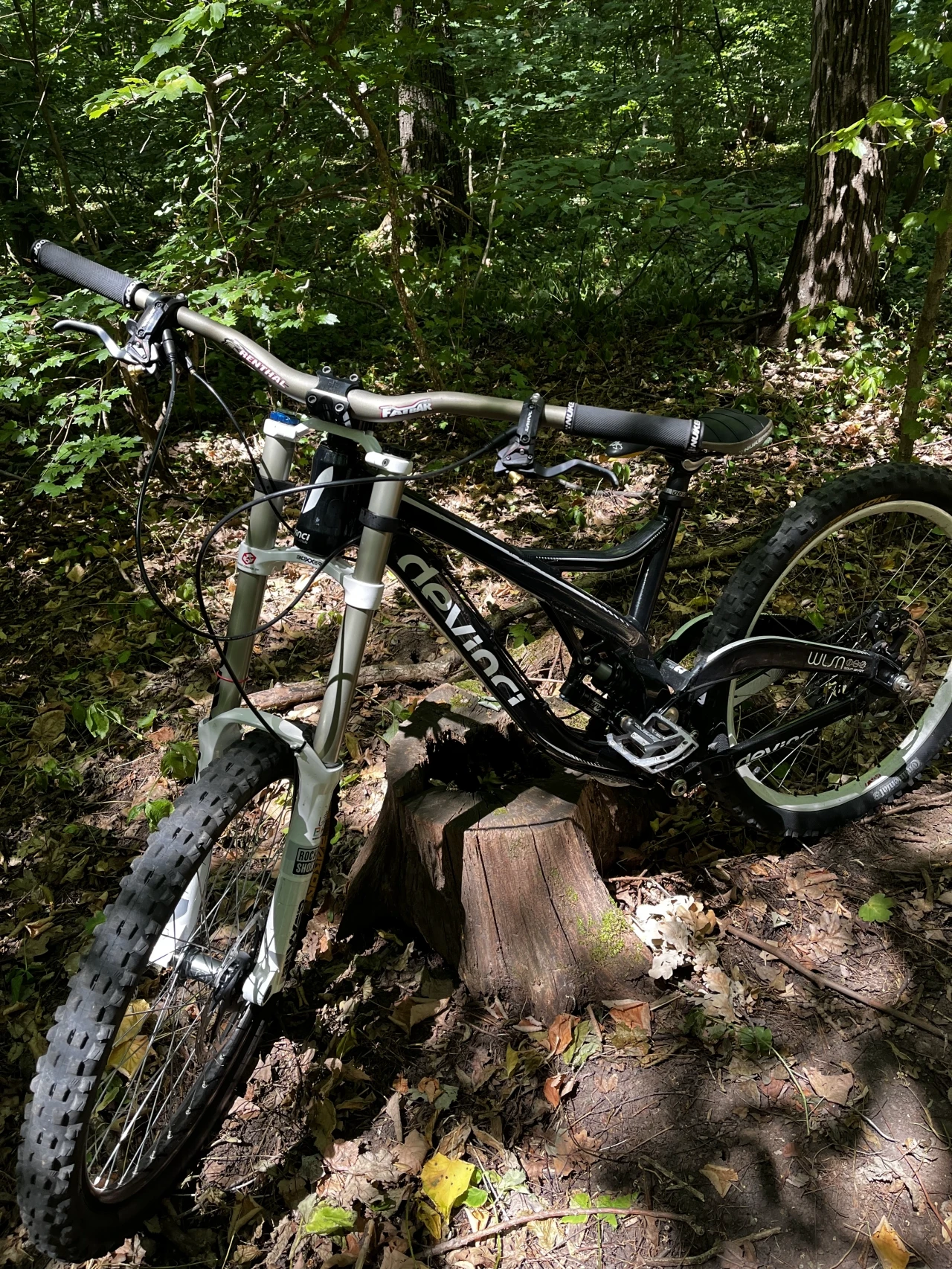 1. Downhill Devinci