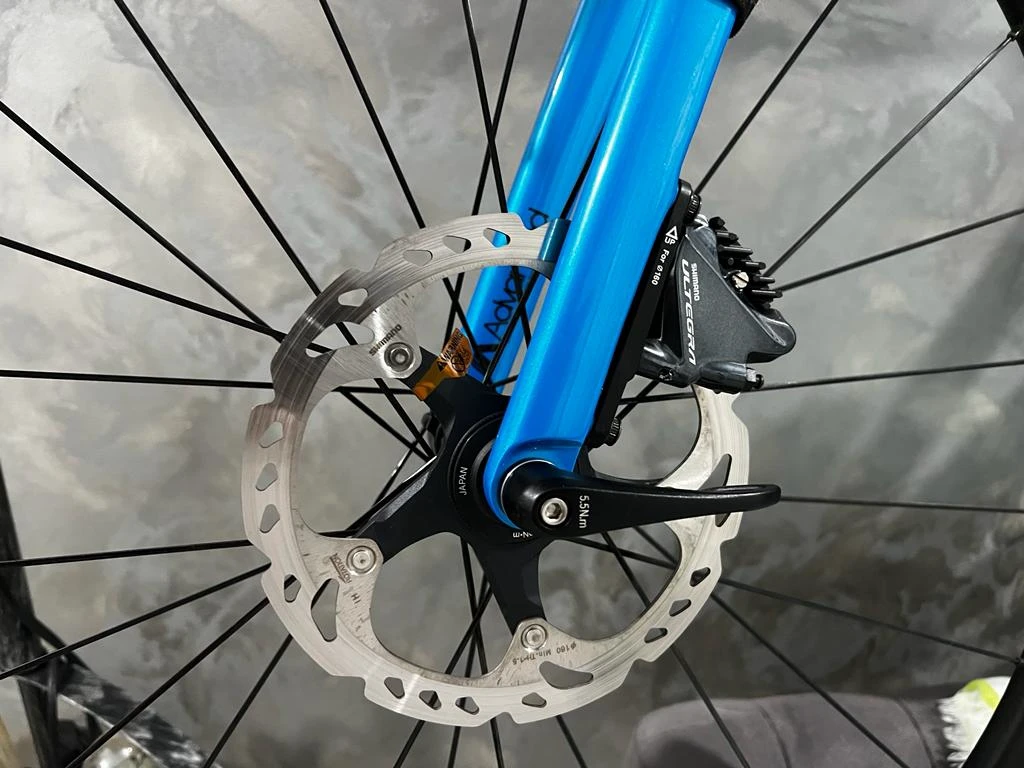 1. Cursiera giant TCR 2021
