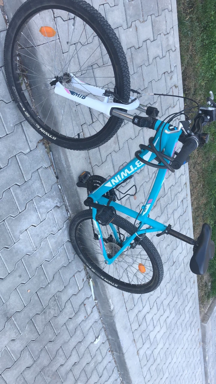 1. Bicicleta
