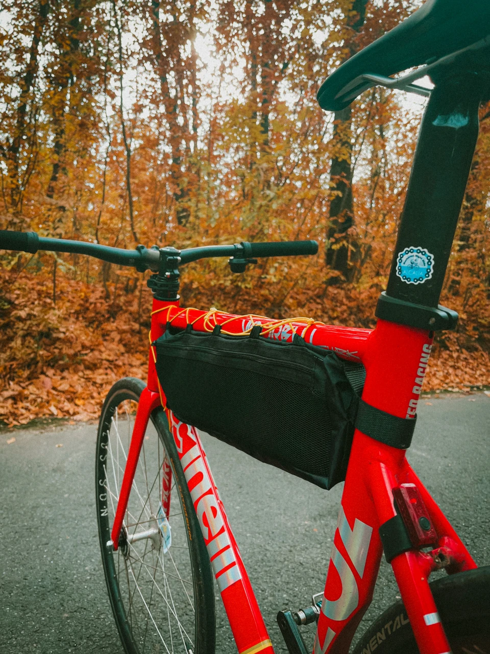 1. Fixie Cinelli Vigorelli shark