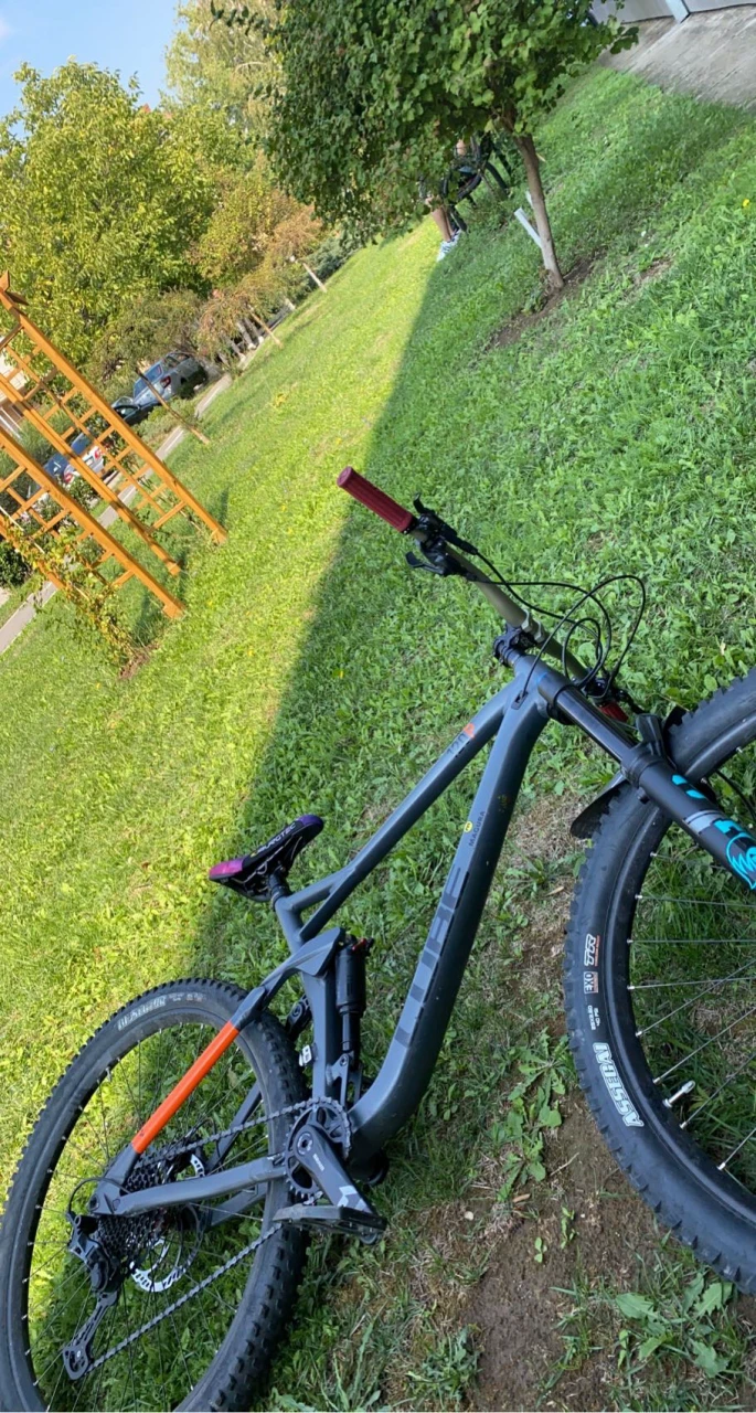 1. Cube Stereo 120 Pro Custom