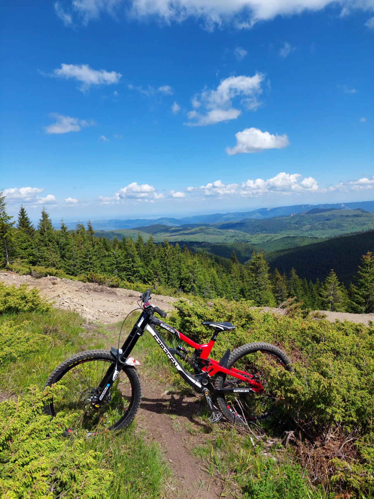 1. Cadru Saracen Myst CX 2019