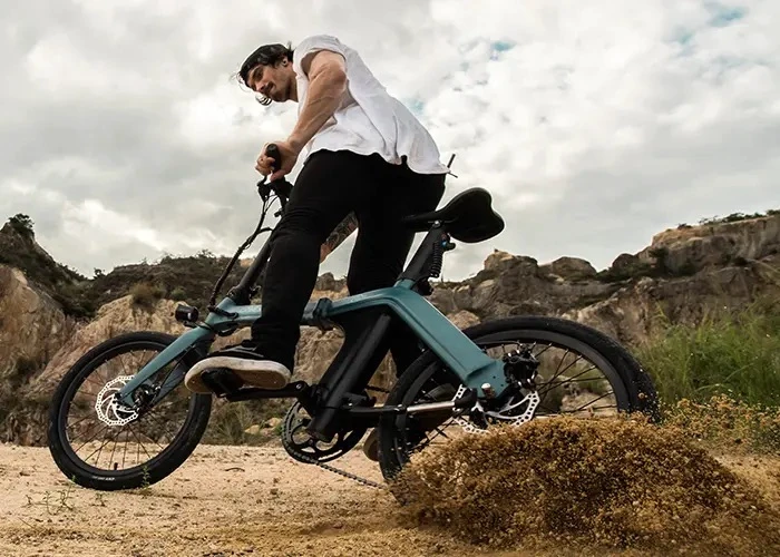 4. E bike fiido d11