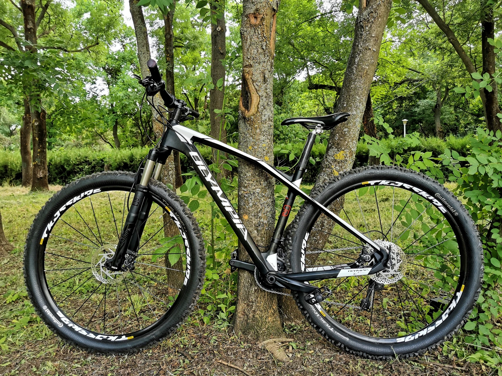 1. Bicicleta Mtb Olympia Carbon
