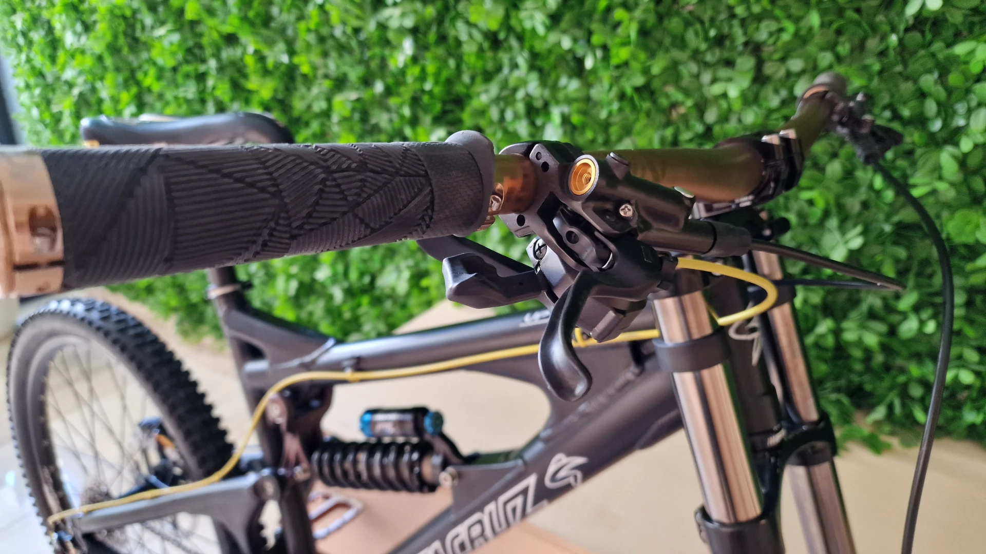 1. Santa Cruz VP Free Custom Full saint