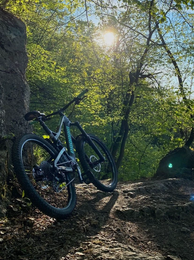 1. Propain Tyee Carbon Fiber 2019