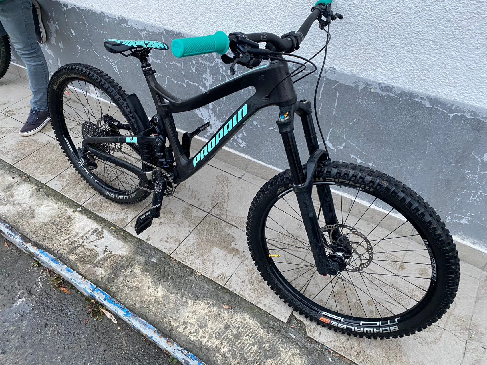 5. Propain Tyee Carbon Fiber 2019
