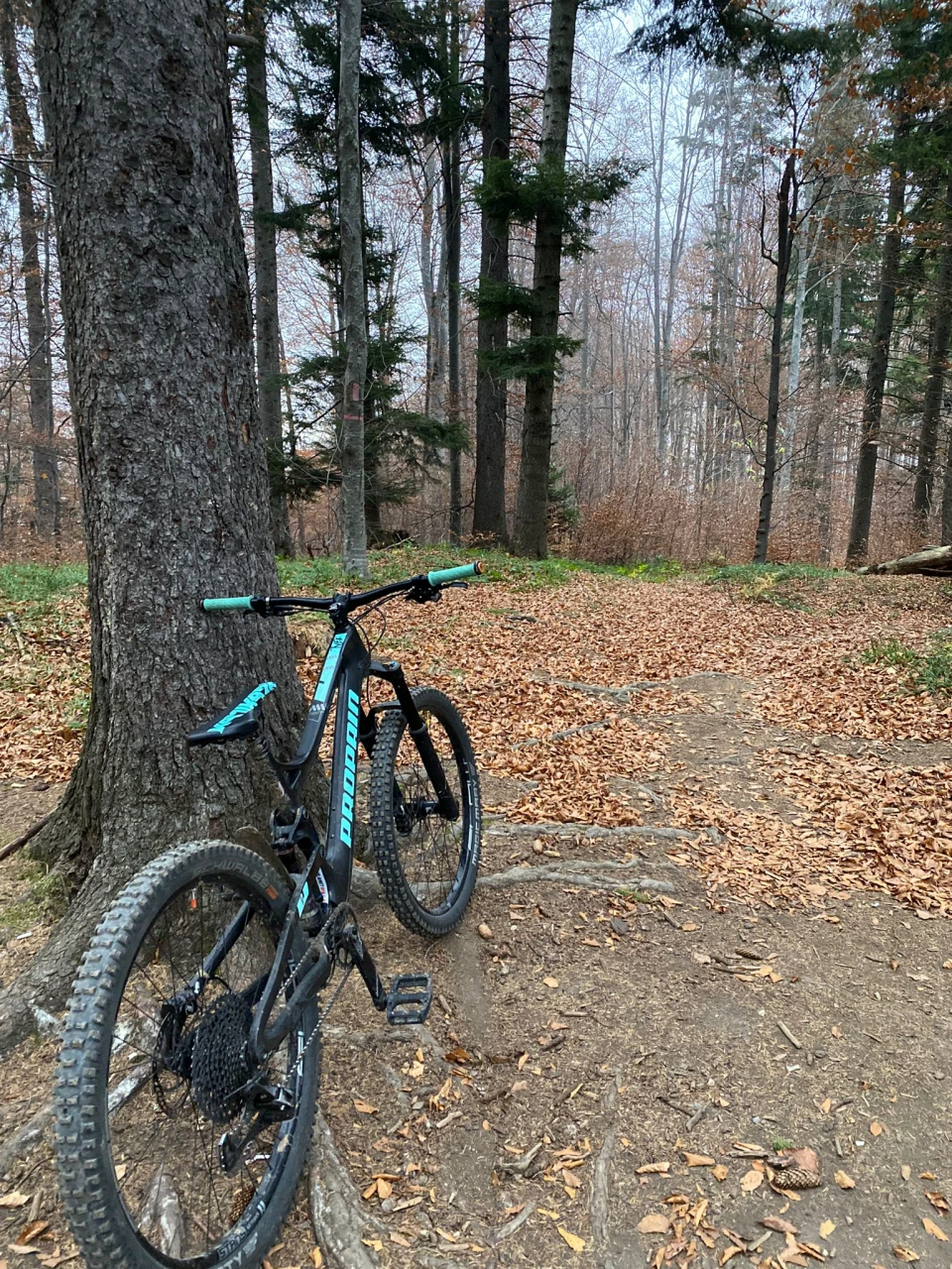 3. Propain Tyee Carbon Fiber 2019