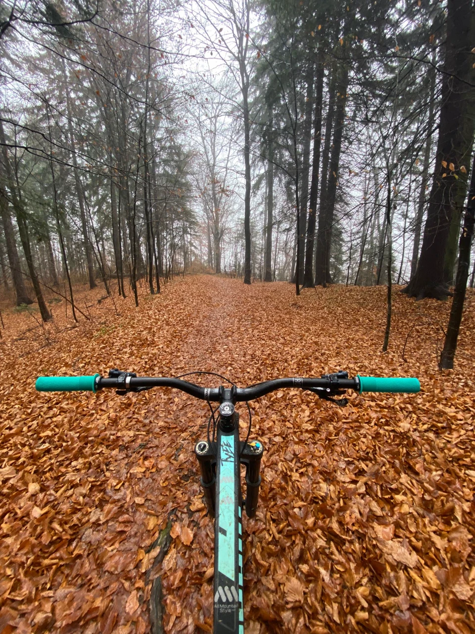 2. Propain Tyee Carbon Fiber 2019