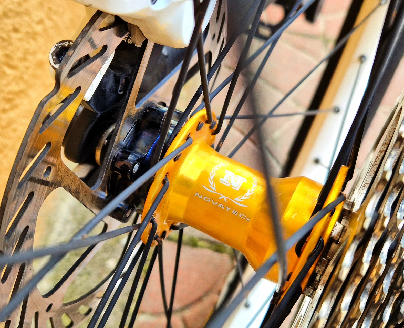 1. Vand bicicleta de Dirt