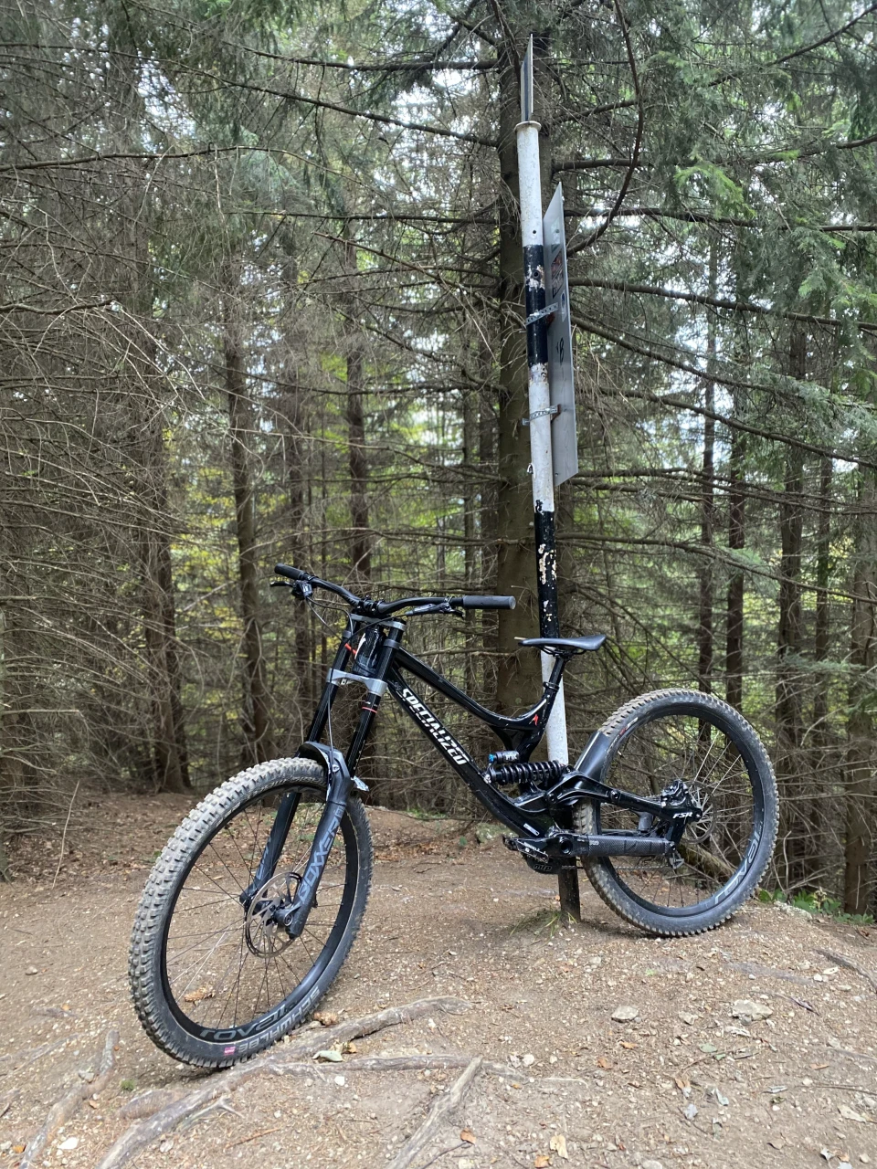 1. Specialized Demo 8