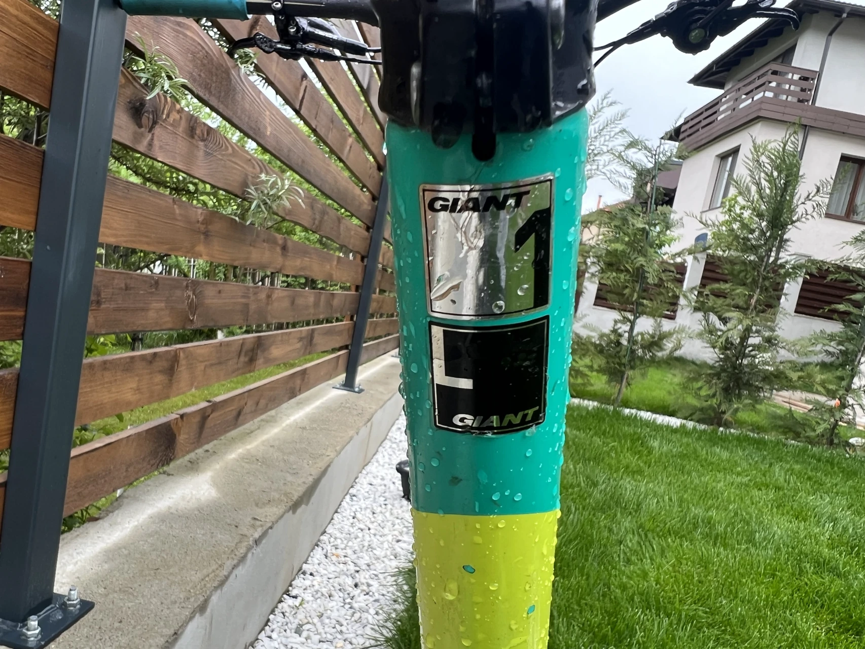 1. Vand Giant Reign Carbon L