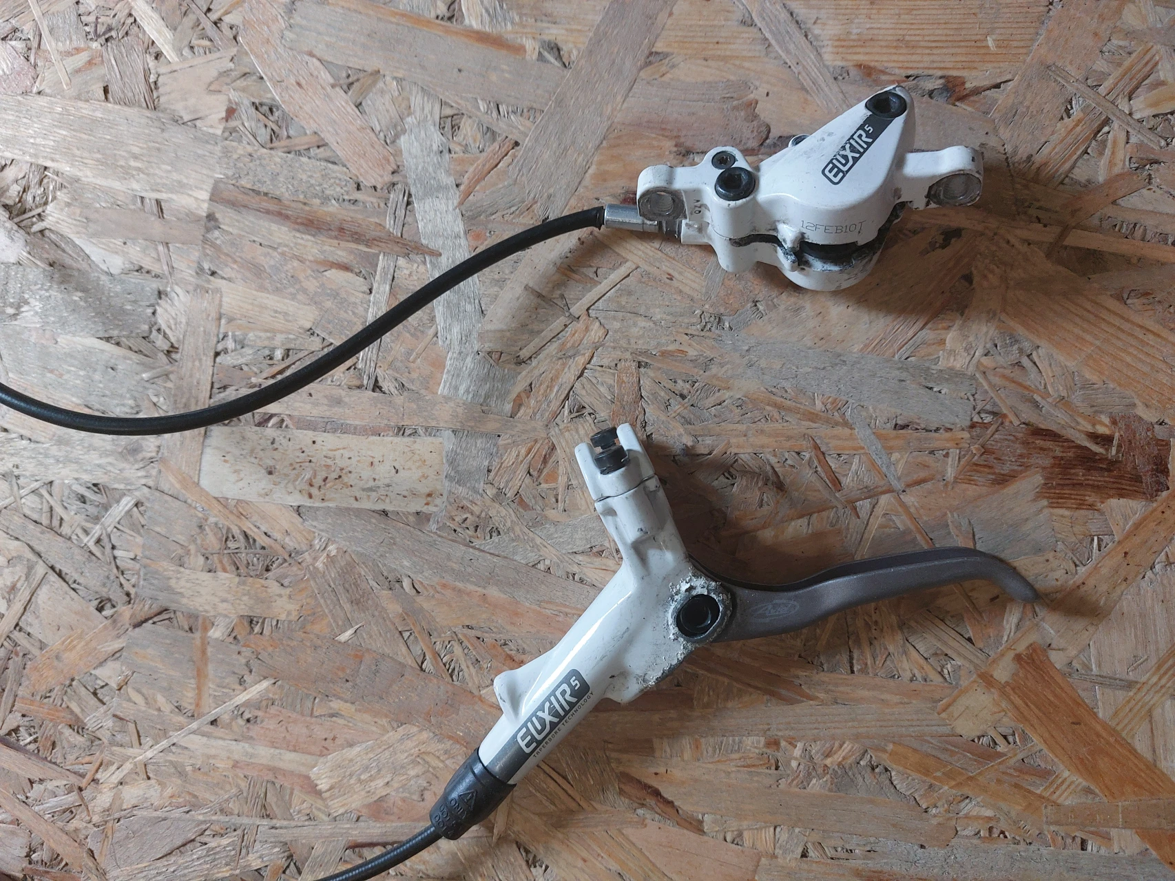 1. Frana fata Avid elixir 5