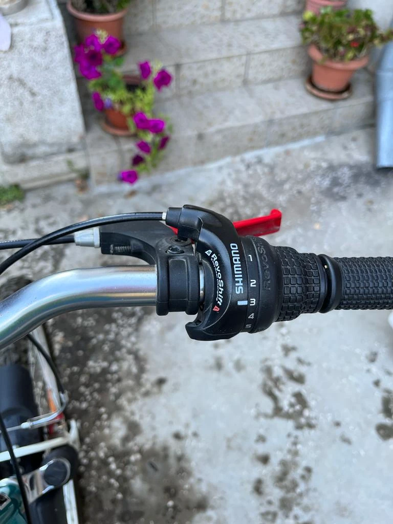 1. Bicicleta oras-cadru dama