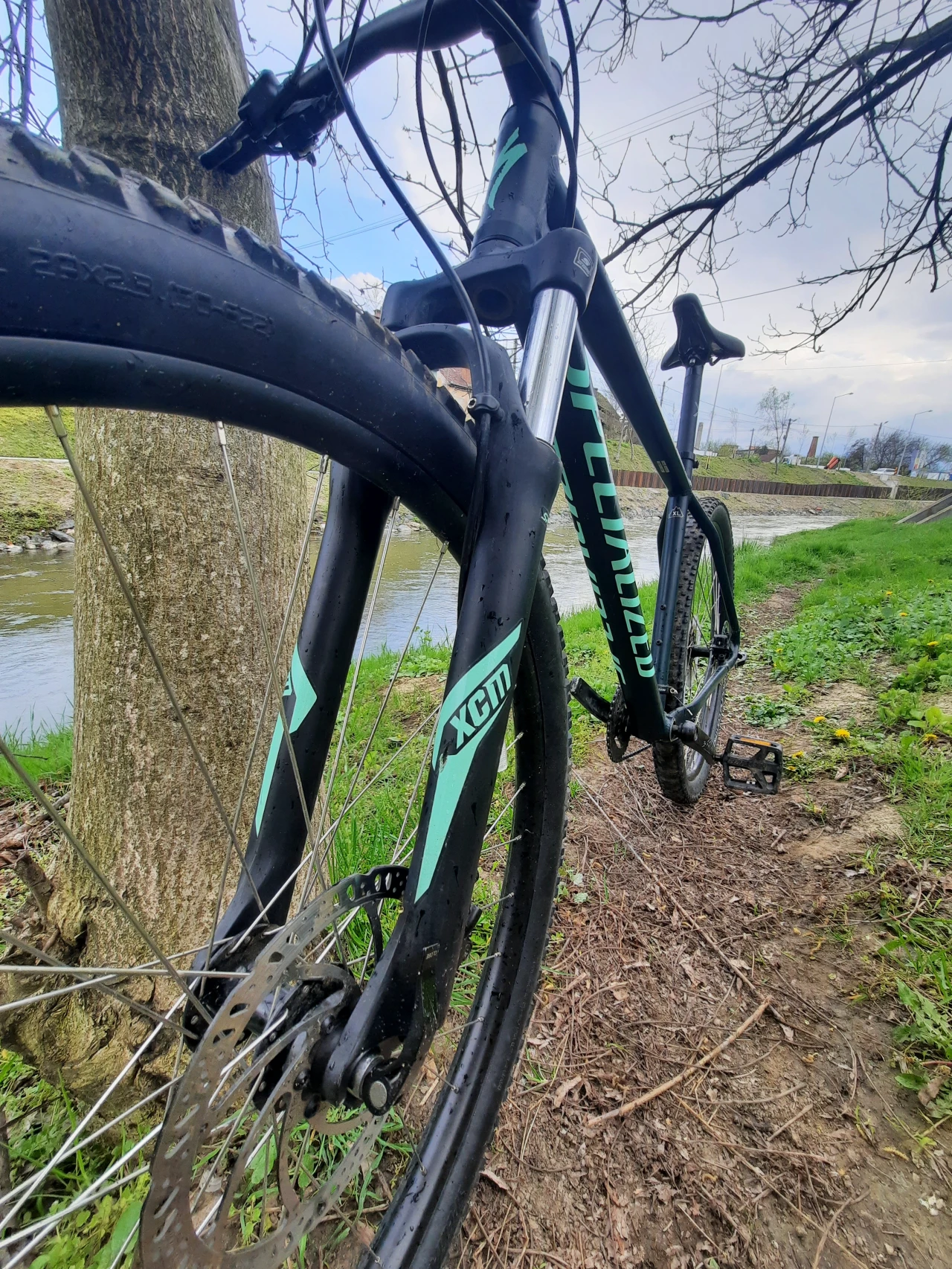 1. MTB Specialized Rockhopper 29