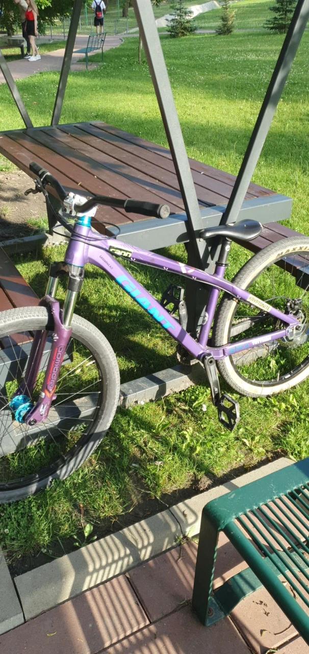 1. Dirt Bike Giant STP 1