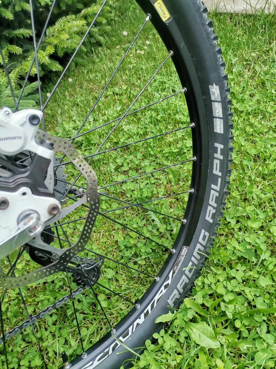 1. Custom (Trek) hardtail 26