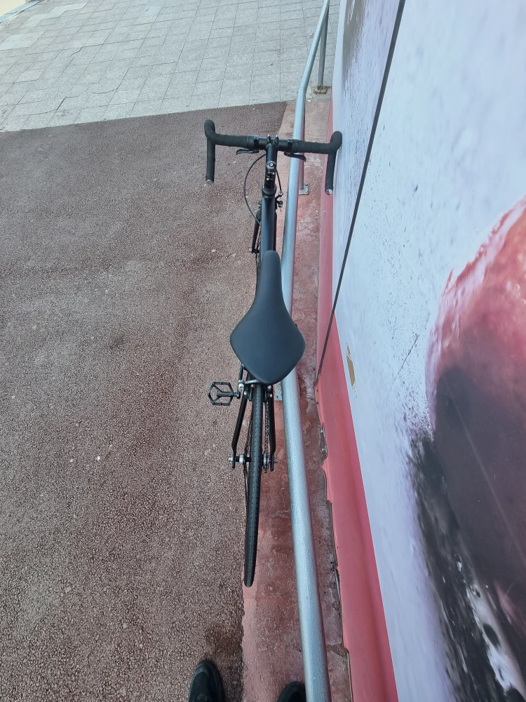 4. Bicicleta Panamea