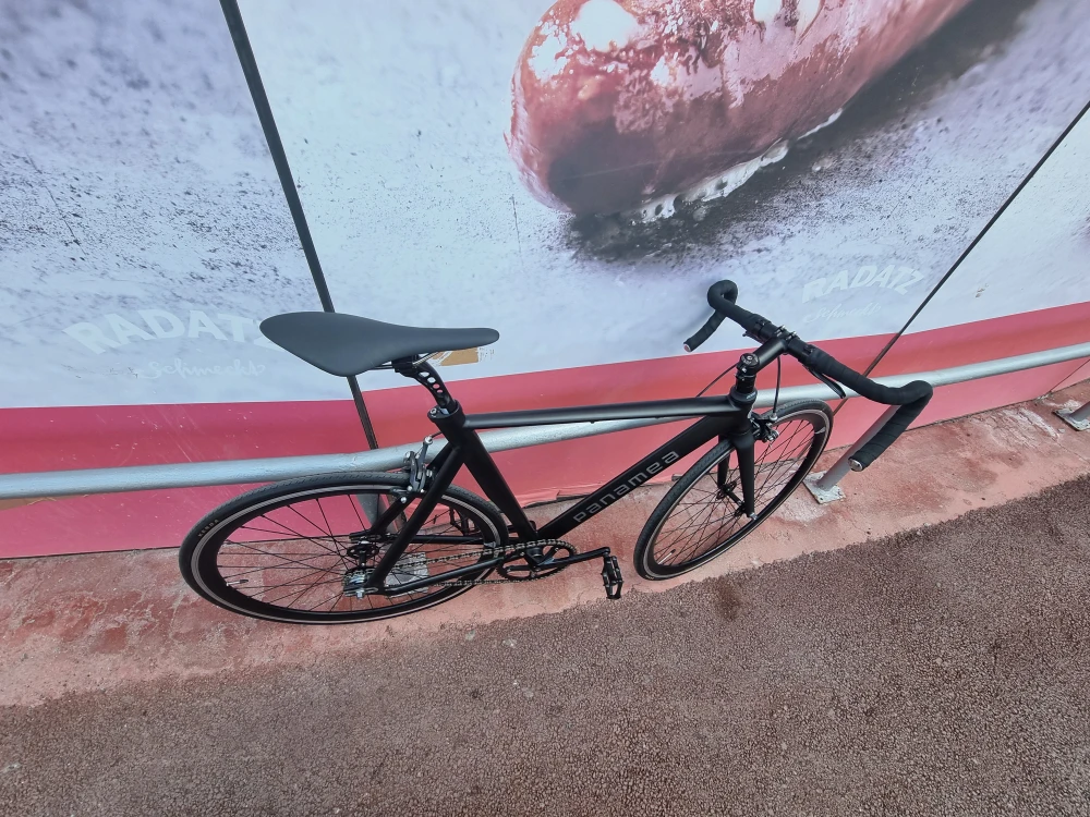 2. Bicicleta Panamea