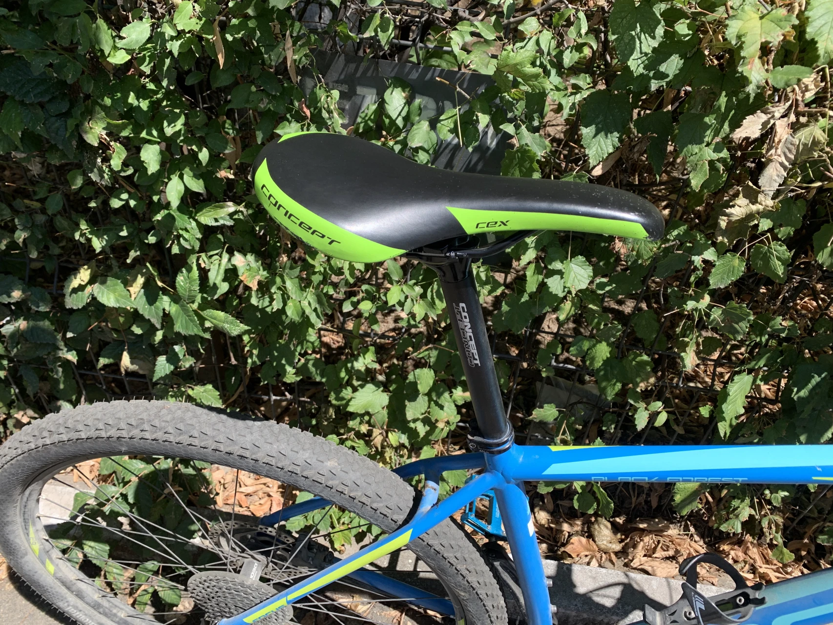 1. Bicicleta Focus Black Forest Cadru 29 inch