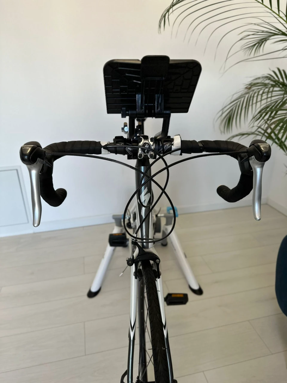 1. Cursiera Specialized Secteur