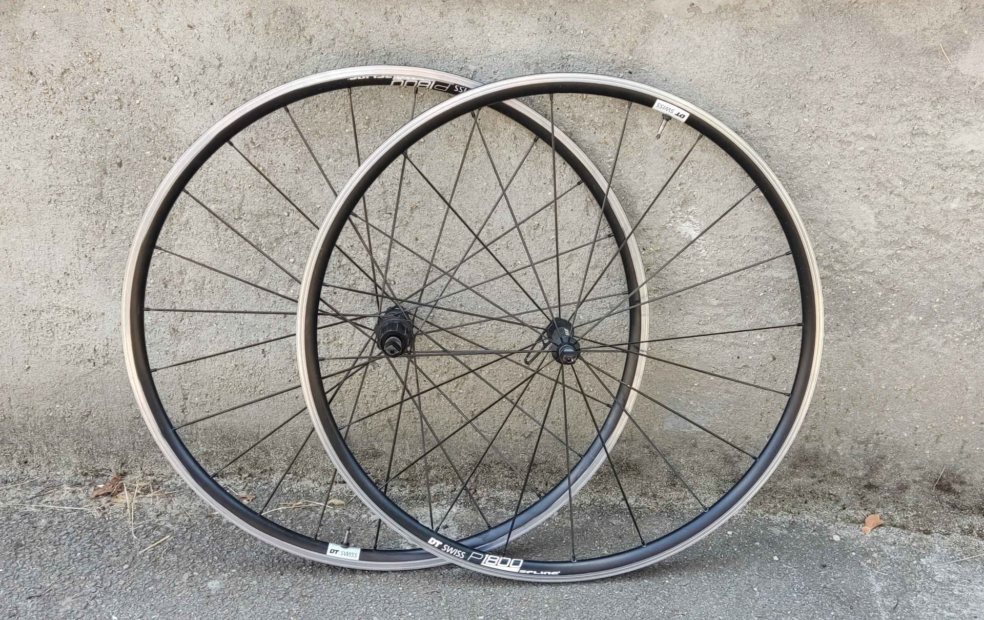 8. DT Swiss P 1800 SPLINE 23