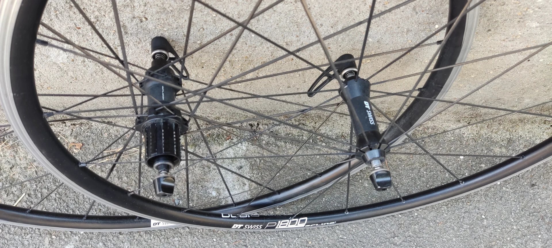 6. DT Swiss P 1800 SPLINE 23