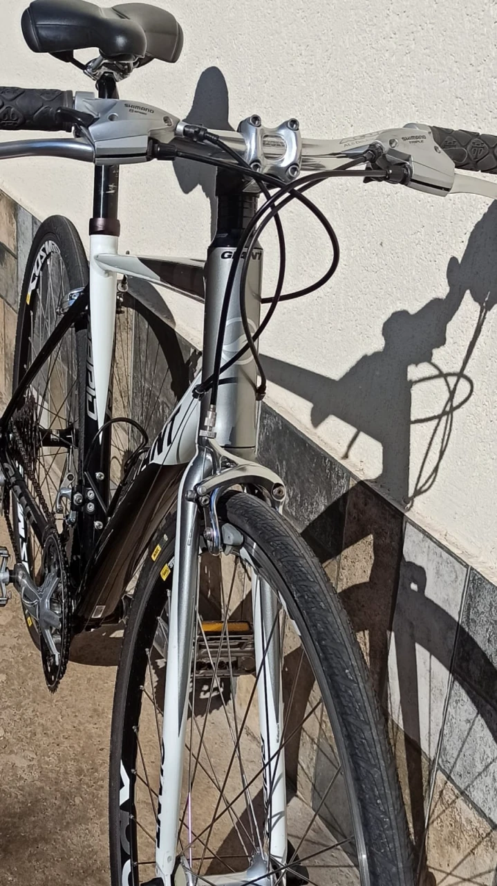 4. Bicicleta Giant Rapid