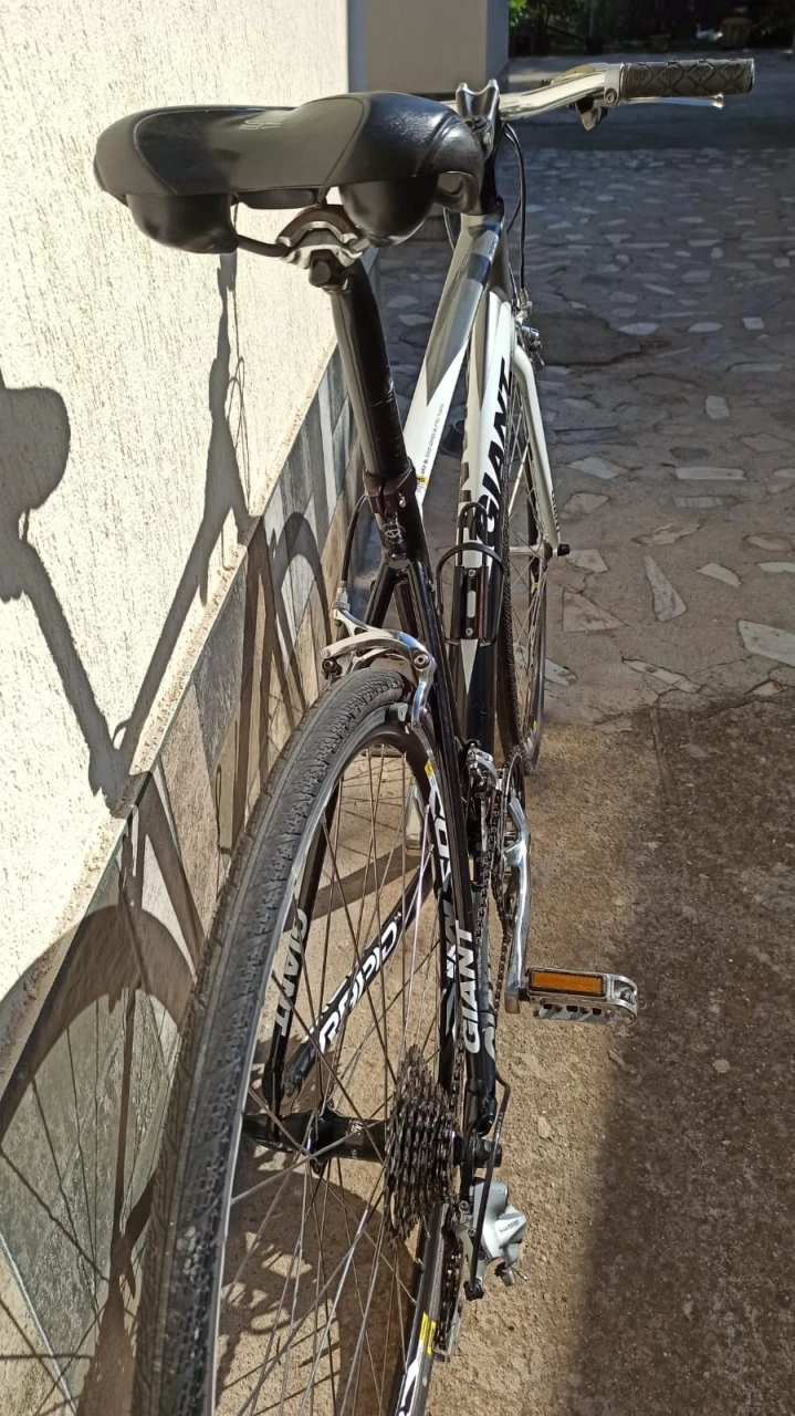5. Bicicleta Giant Rapid