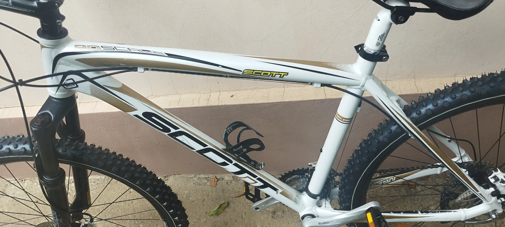 1. Scott scale 80