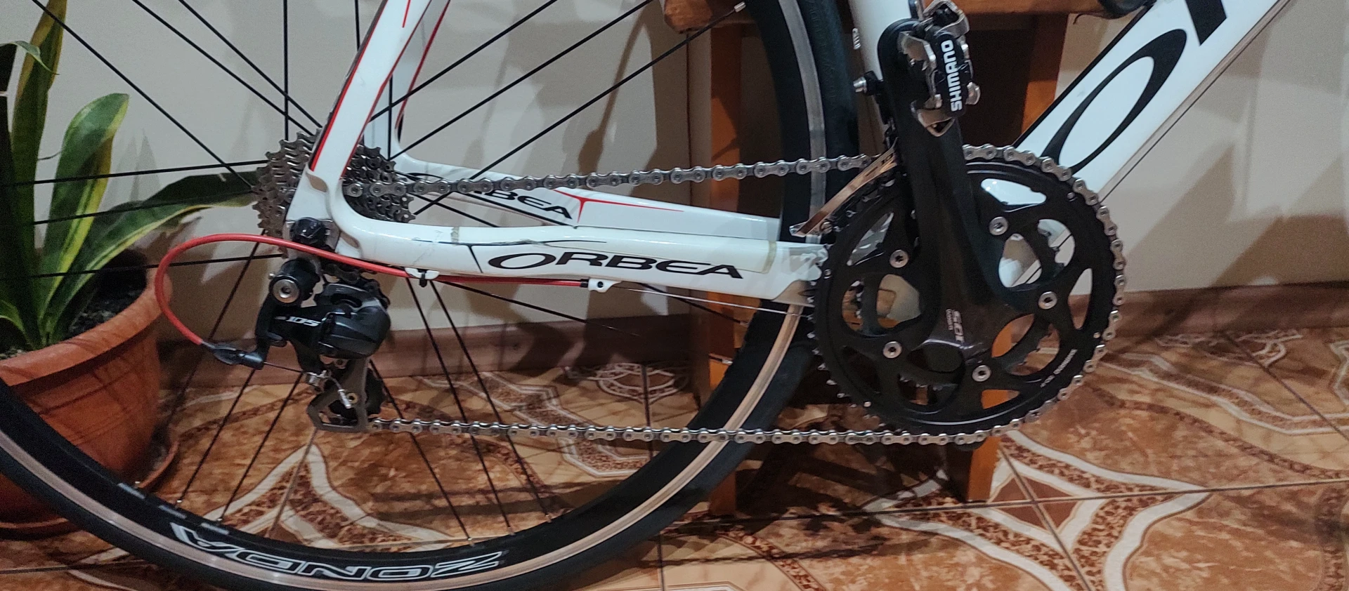 1. Orbea orca