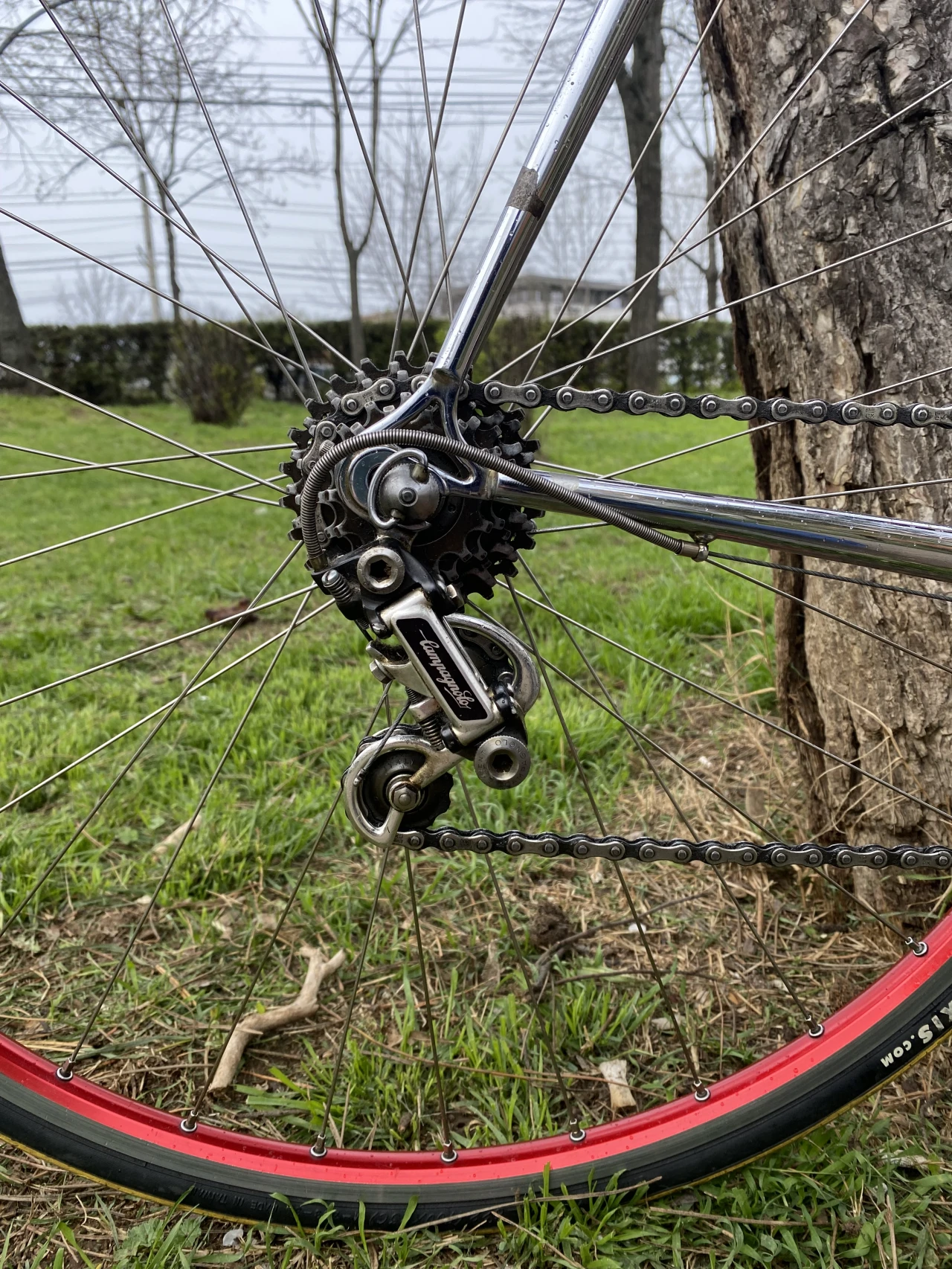 1. Cursiera Simoncini (full Campagnolo)