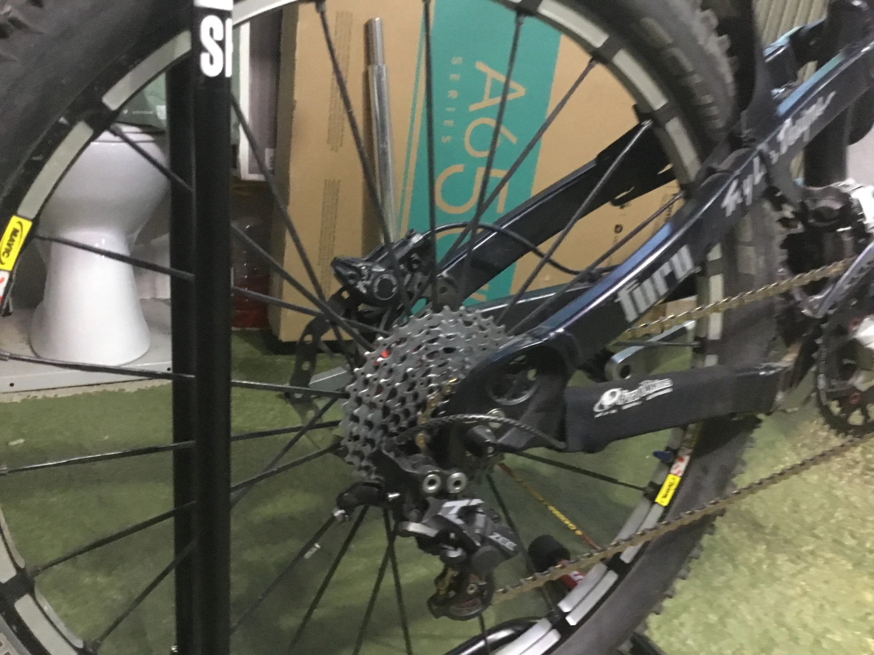 1. Vitus fury