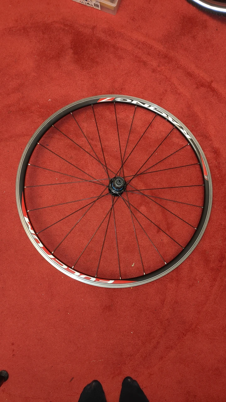 6. Roata 28/29 Fulcrum Racing7