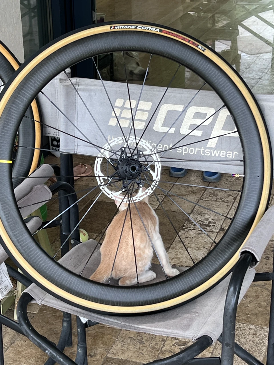 1. Set roti carbon Mavic Cosmic SL 45 Disc