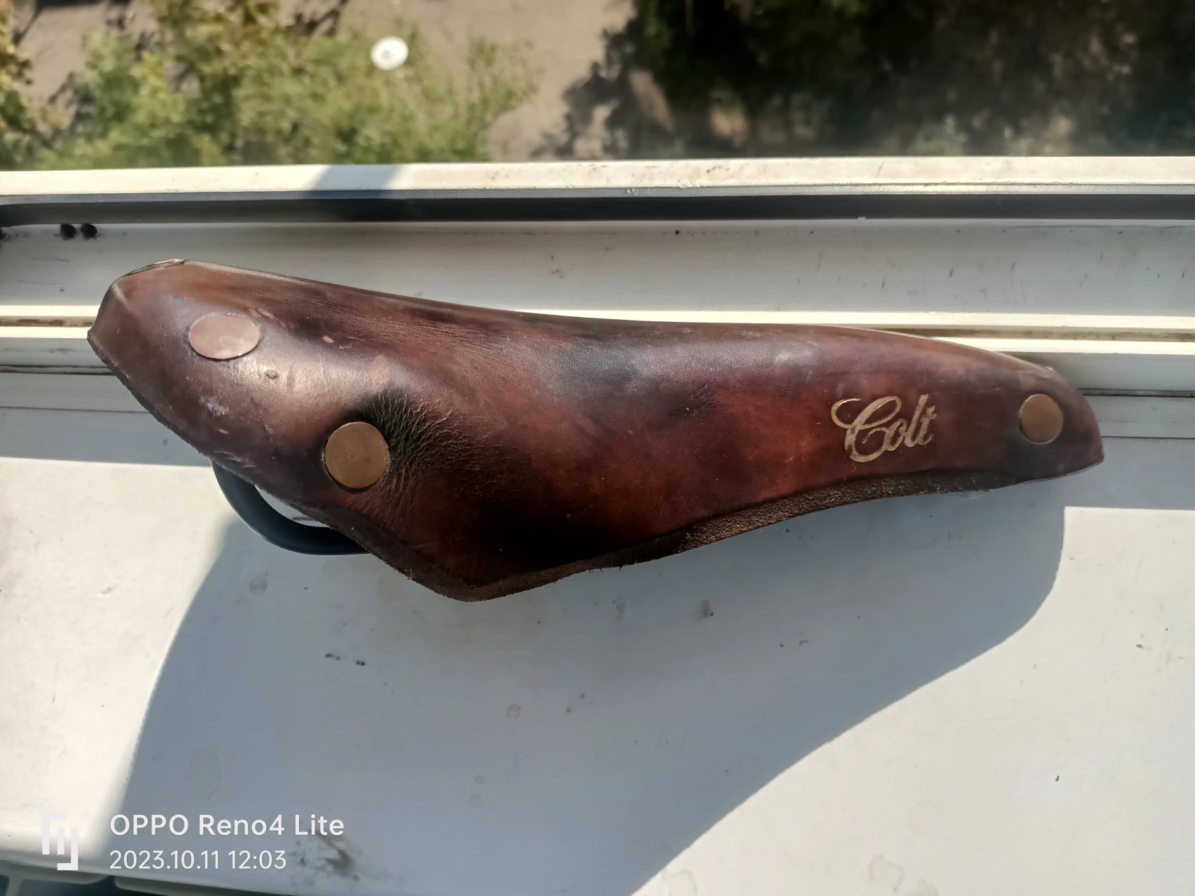 1. Sa Brooks Colt