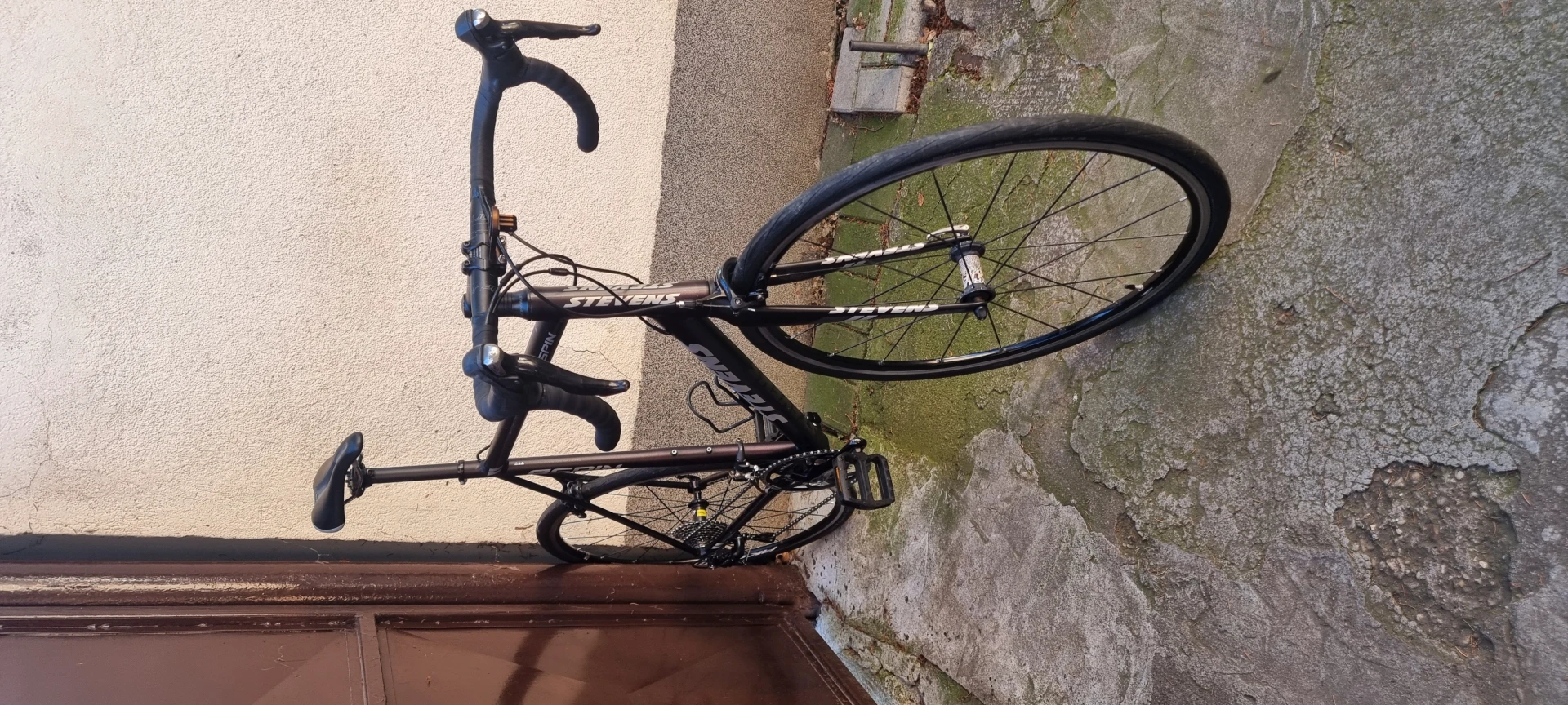1. Cursiera Stevens Aspin XL-XXL