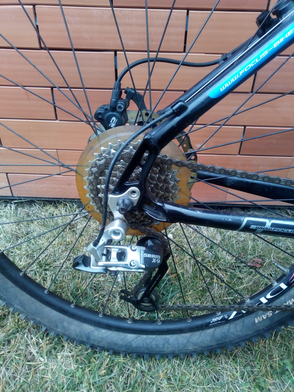 1. Focus Northern Lite