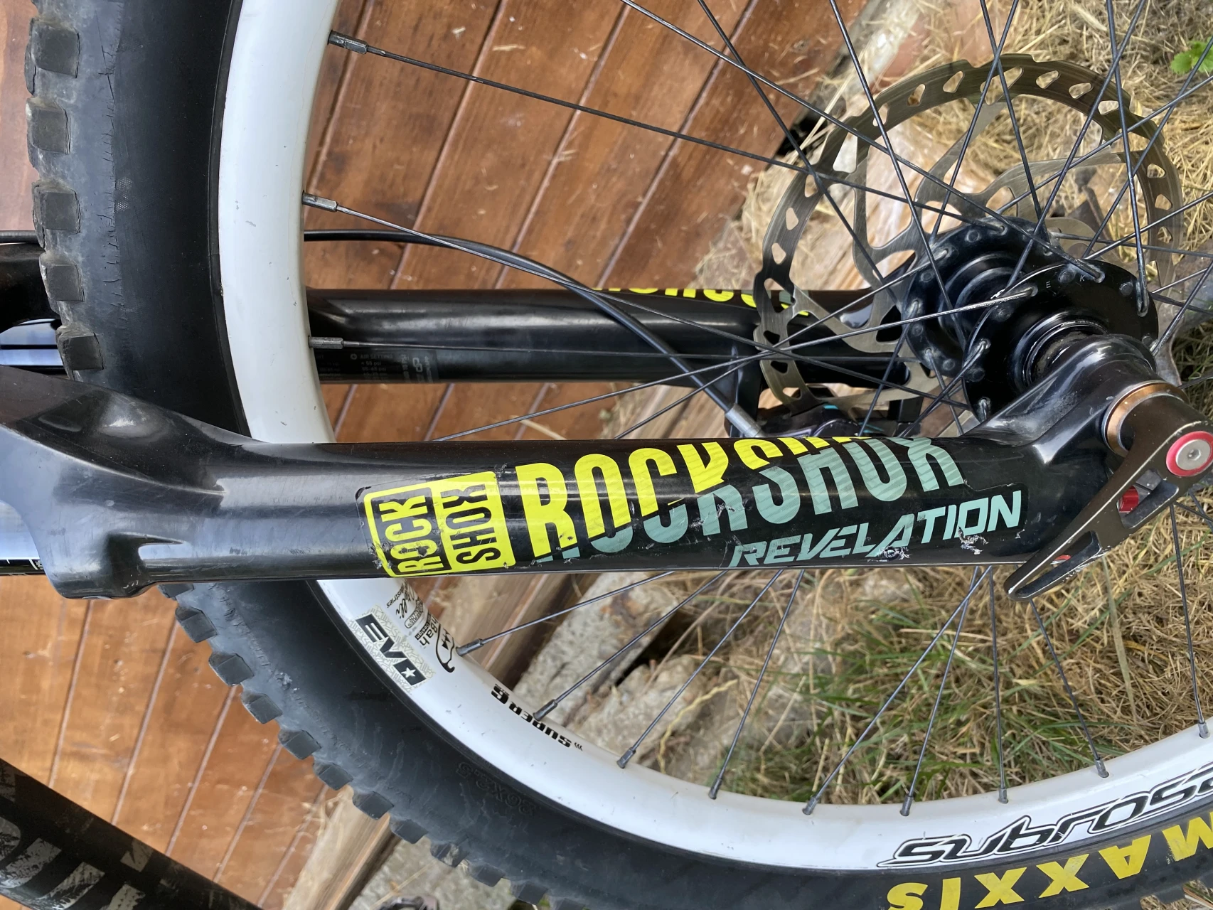1. Dartmoor hornet 2021