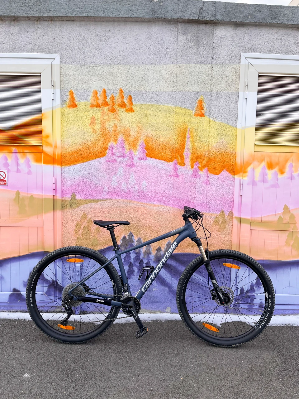 8. Cannondale trail 4