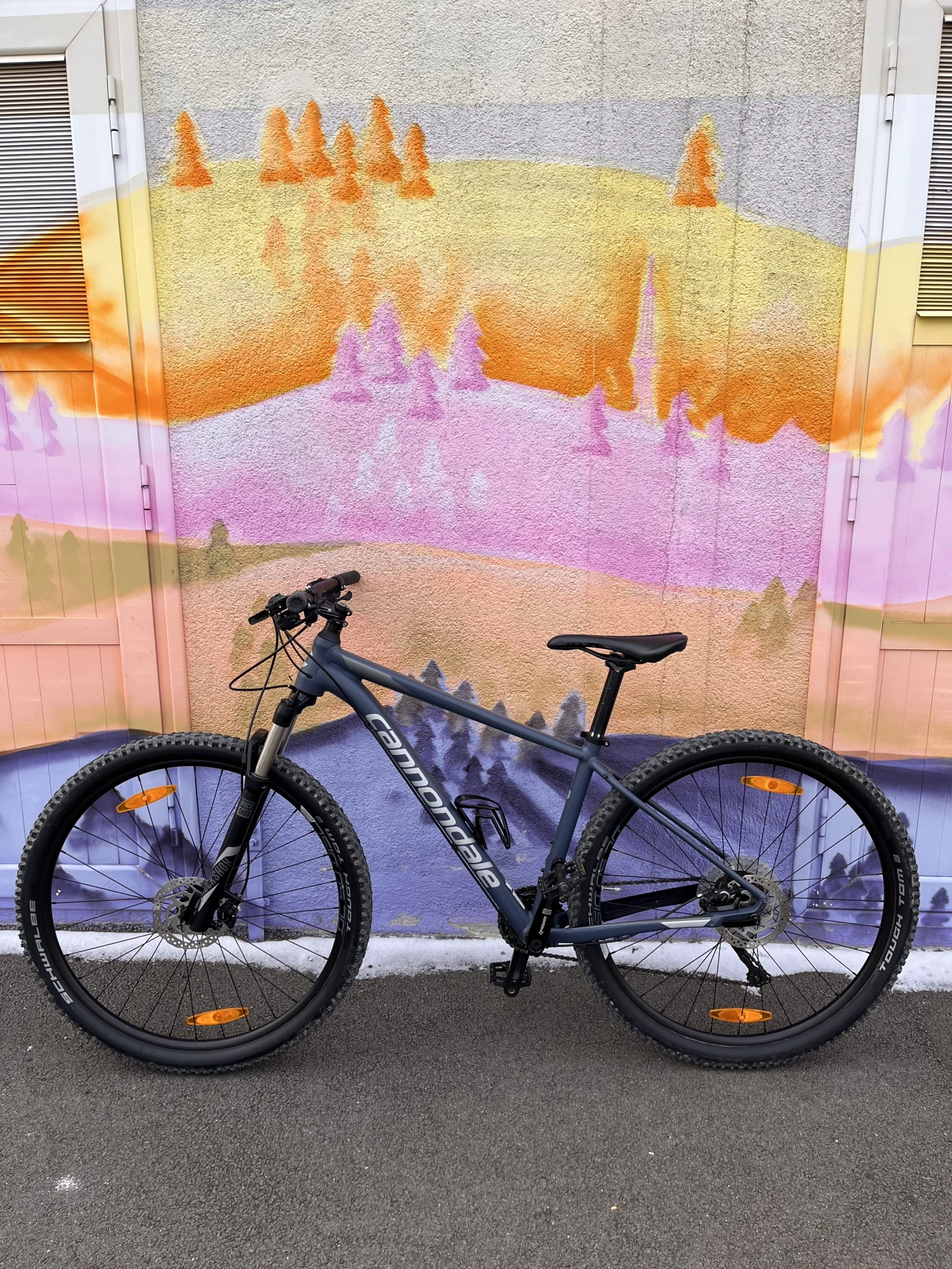 2. Cannondale trail 4