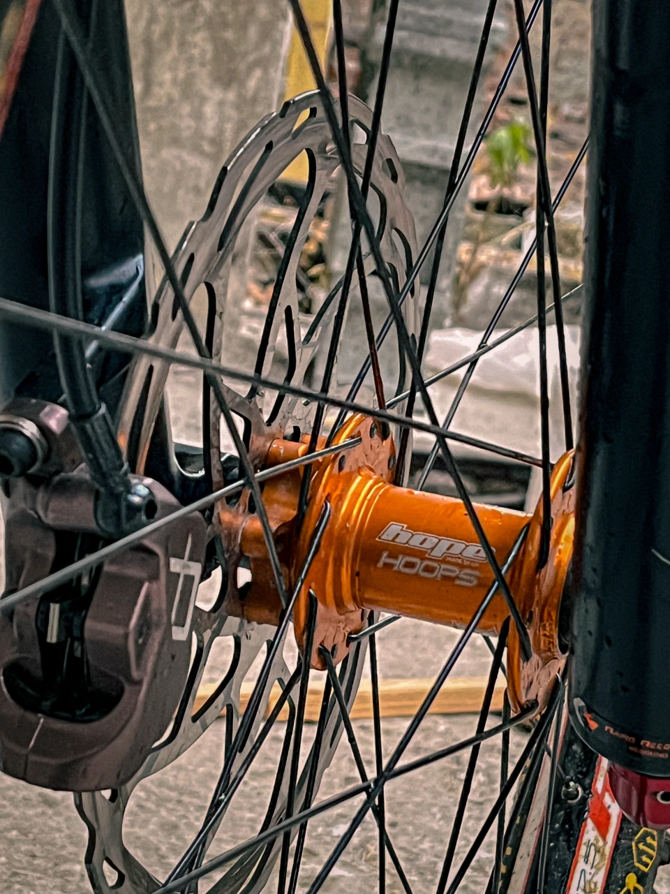 6. Scott Gambler Velosolutions