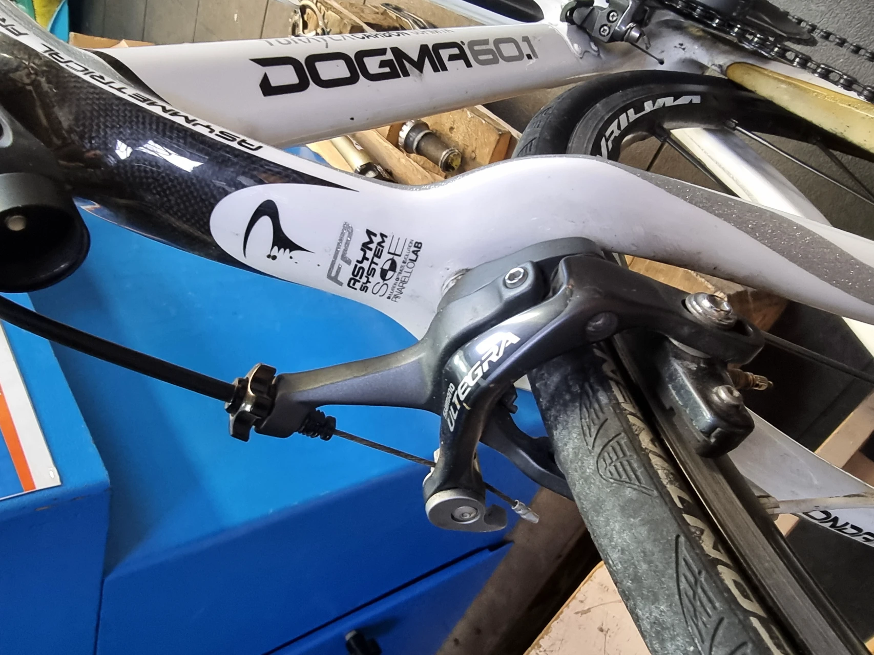 1. Cursiera pinarello Dogma 60.1