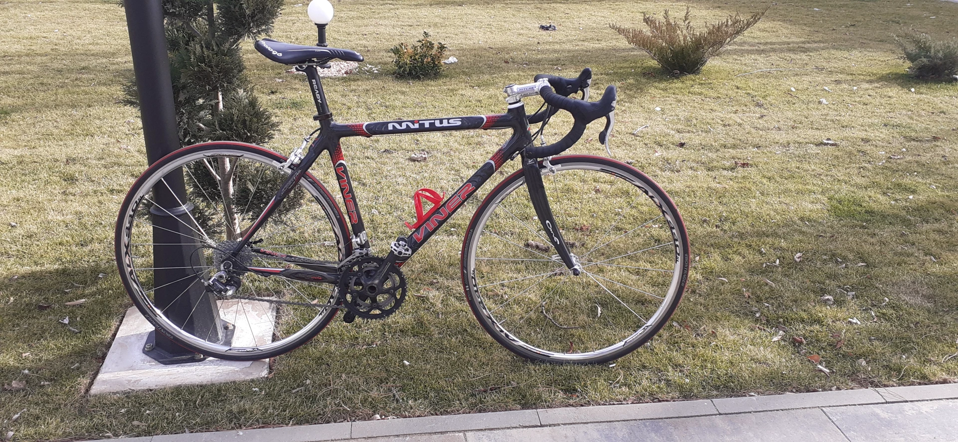 6. Cursieră carbon