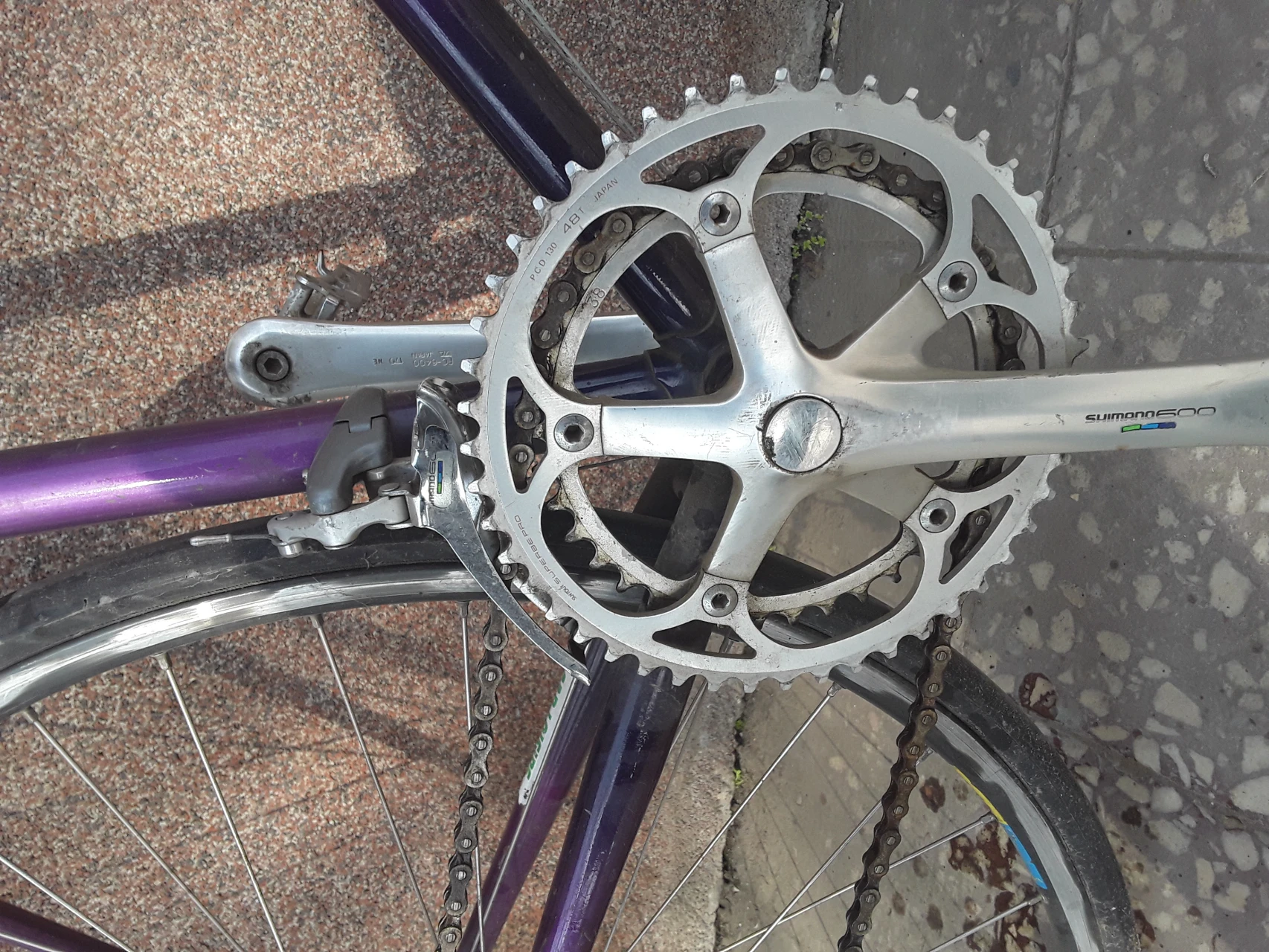 5. Cursiera orbea/reynolds