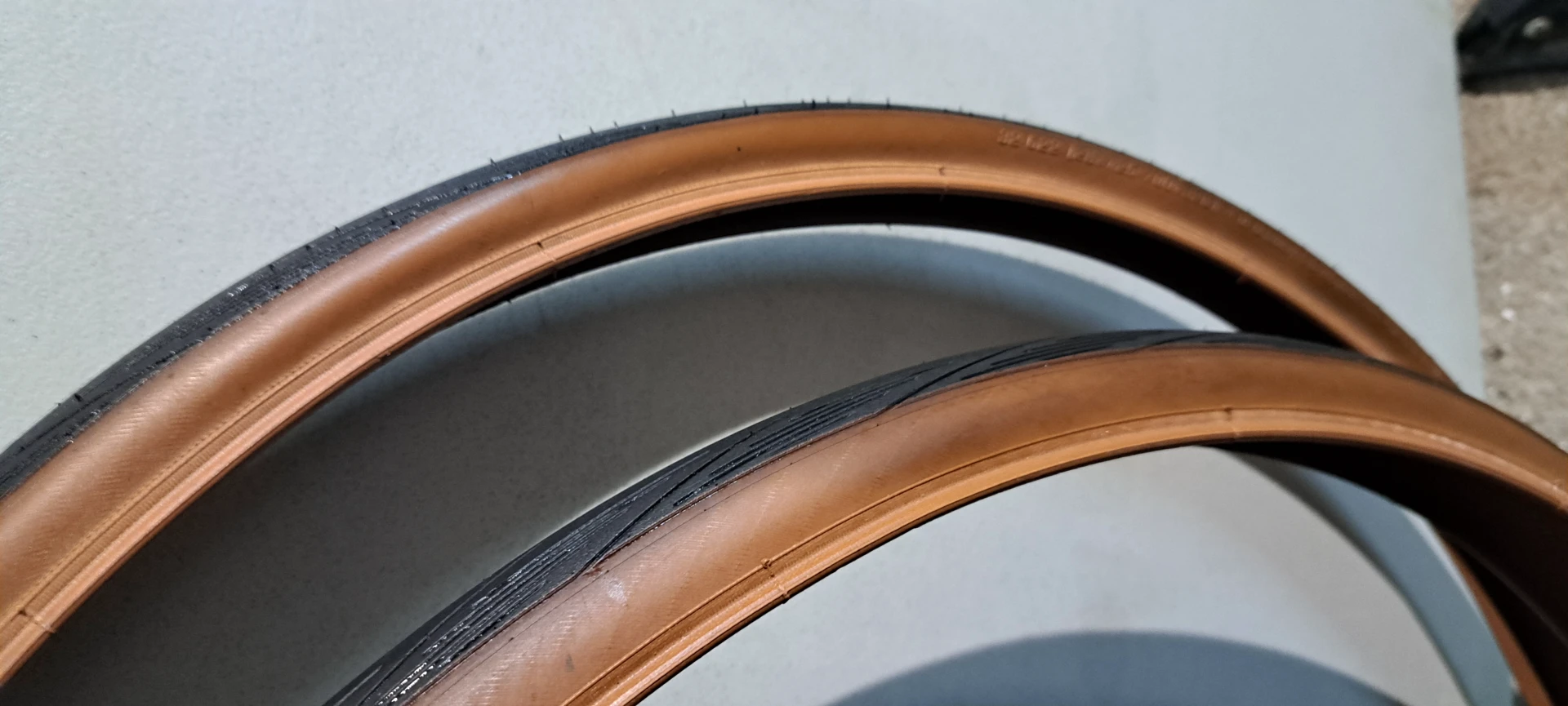 1. Schwalbe lugano 2