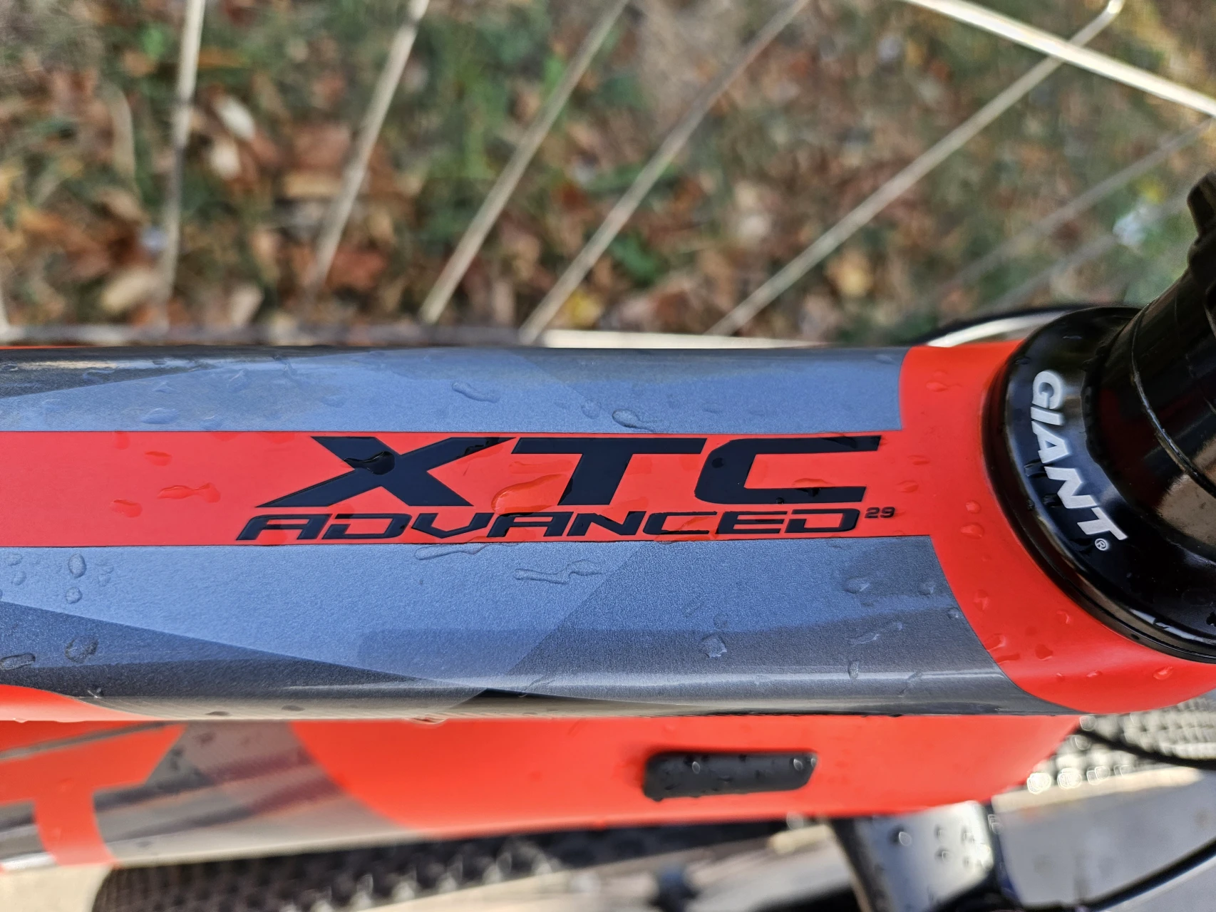1. Hardtail 29er Giant XTC Advanced 1