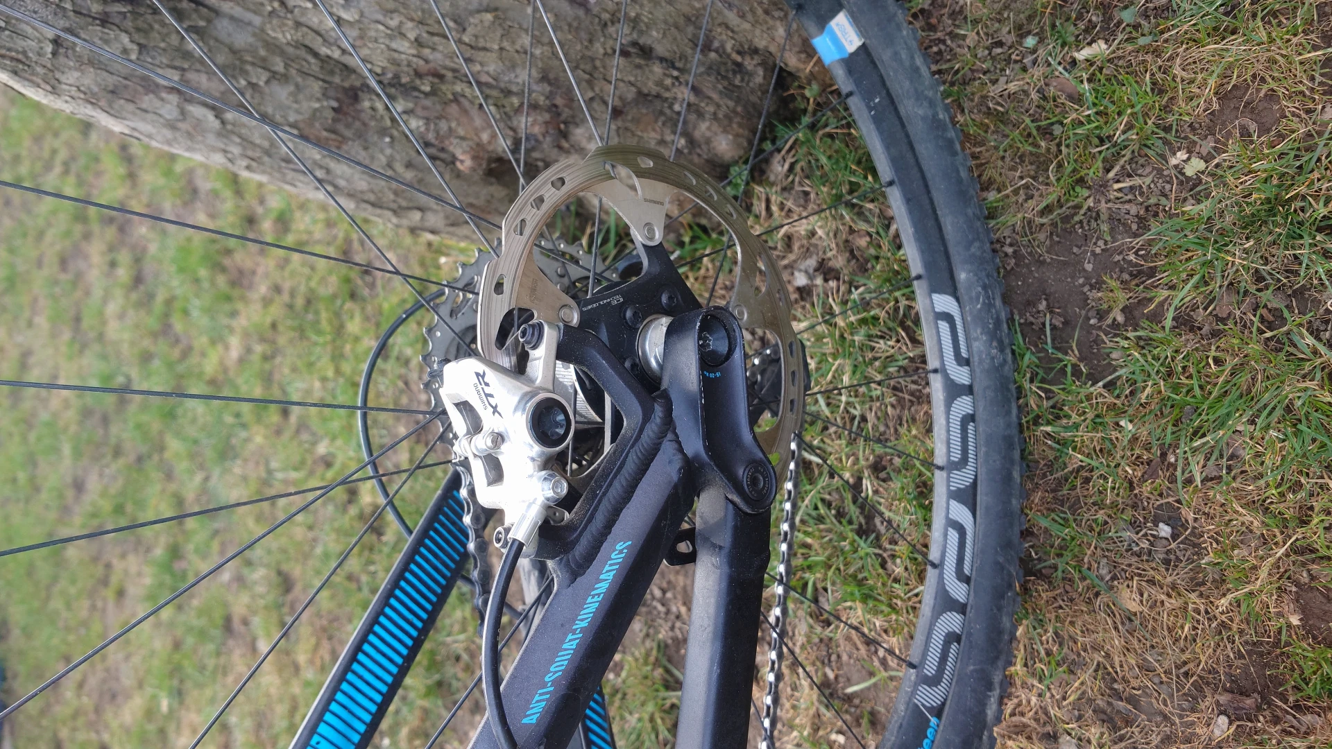 6. Vand MTB Canyon Spectral