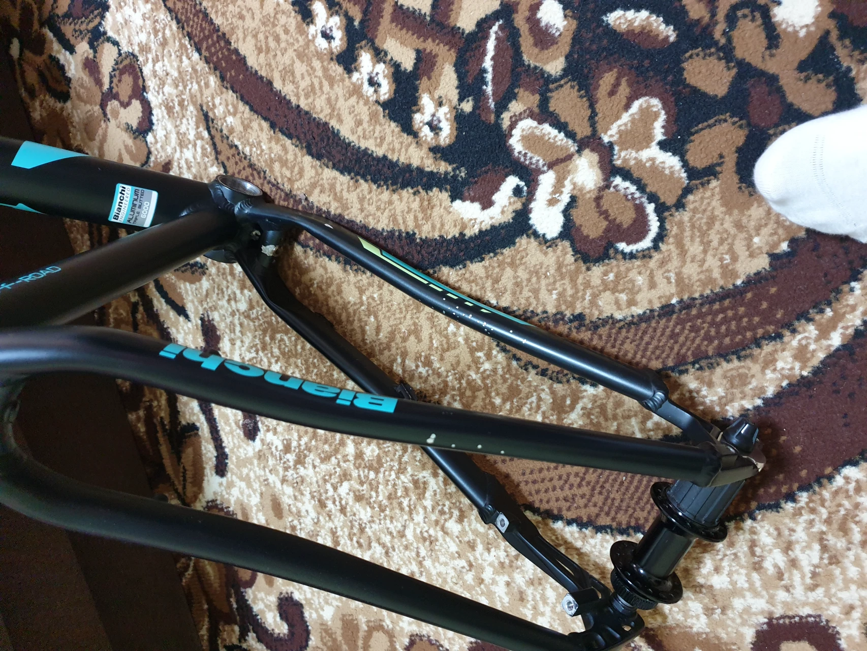 1. Bianchi kuma "29